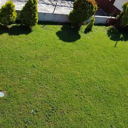 Apartment Ax Umag